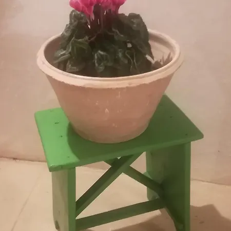 Dimora Maltese *
