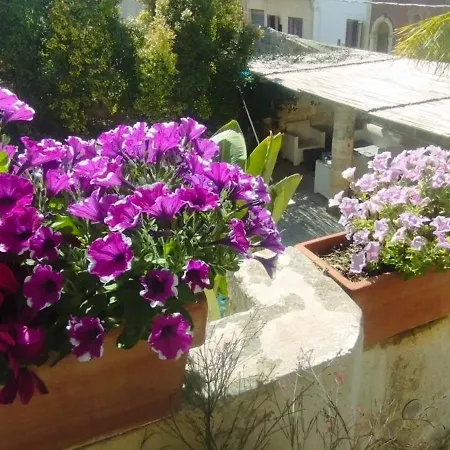 Dimora Maltese * Morciano di Leuca